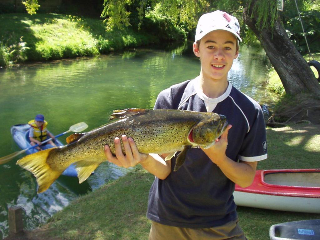 Waiteti Trout Stream Holiday Park Rotorua Exterior photo